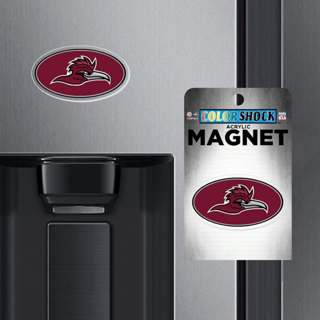 MAGNET 7IN ACRYLIC/CLEAR/    .